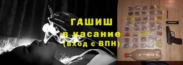 стаф Богданович
