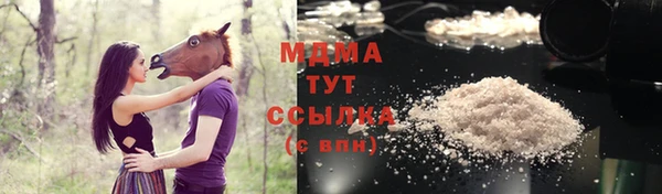 стаф Богданович