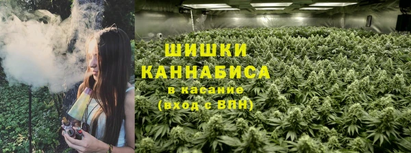 стаф Богданович