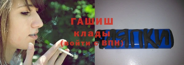 стаф Богданович