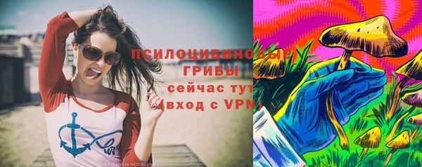 винт Гусиноозёрск