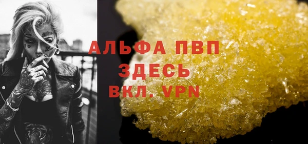 стаф Богданович