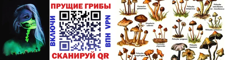 ссылка на мегу сайт Рыбинск Галлюциногенные грибы Magic Shrooms